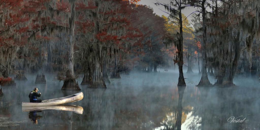 Caddo Lake State Park -- Foggy Morning Canoe Trip -- 40x20